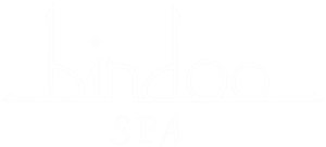 Logo Bindoo Spa Blanc
