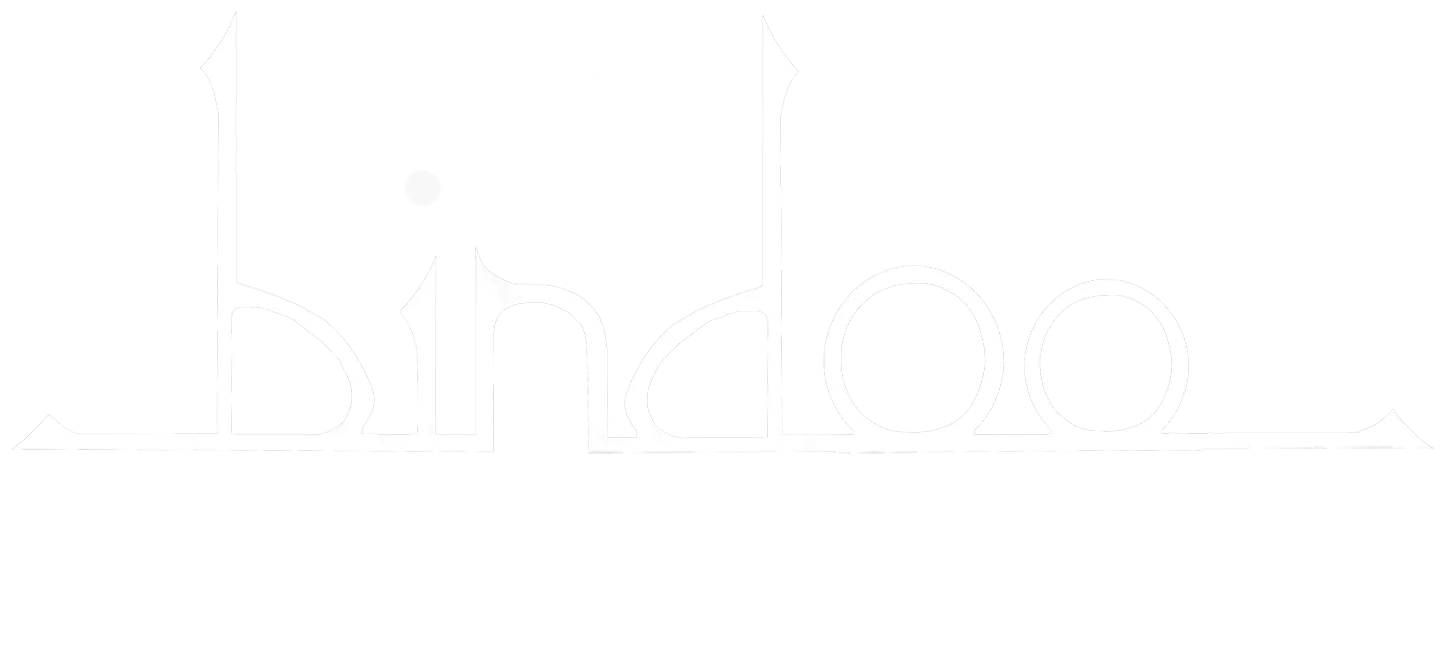 Logo Spa Bindoo Blanc